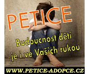 petice_proti_zakonu_adopce_dti_pro_homosexualy